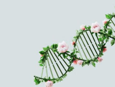 Genetics of Anorexia Nervosa and the (Careful) Road Toward Personalized Therapies