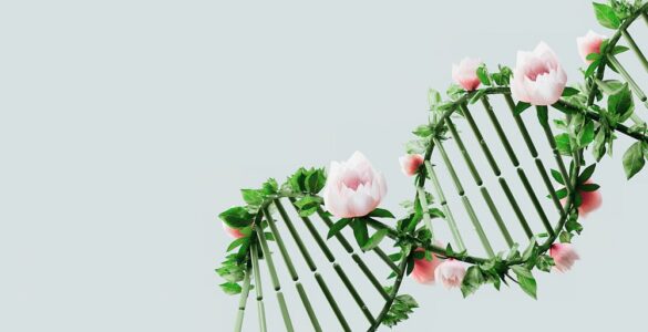 Genetics of Anorexia Nervosa and the (Careful) Road Toward Personalized Therapies